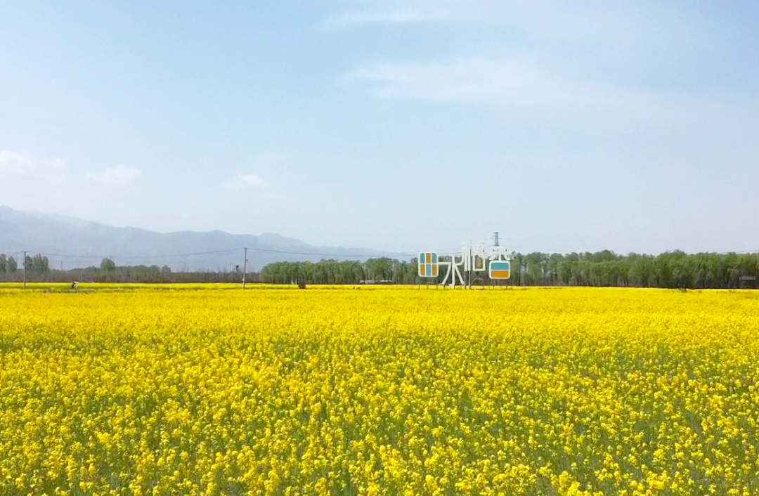 曲水稻香1.png