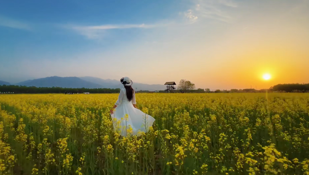 曲水稻香3.png