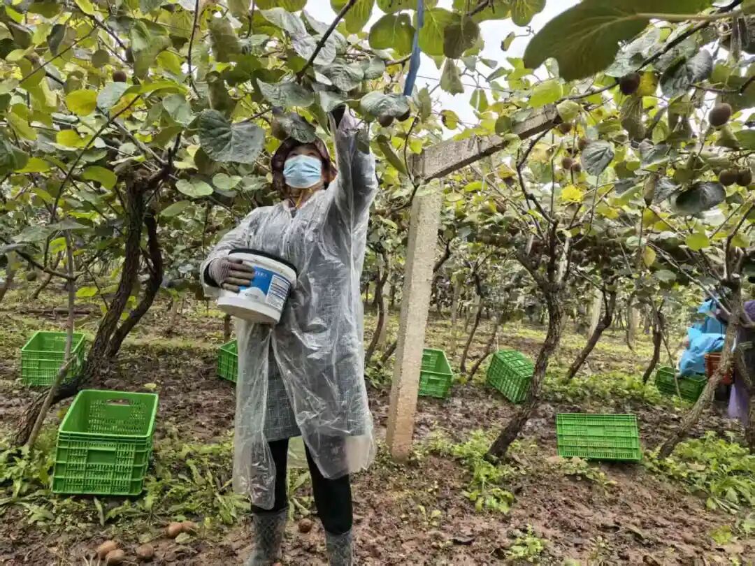 640 - 2025-12-22T102027.055.jpg