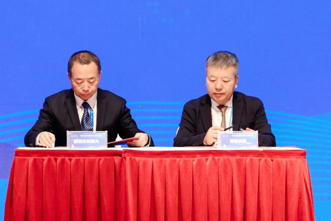 640 - 2025-12-22T102733.687.jpg