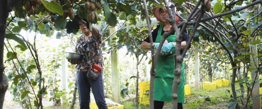 640 - 2025-12-22T105947.631.jpg