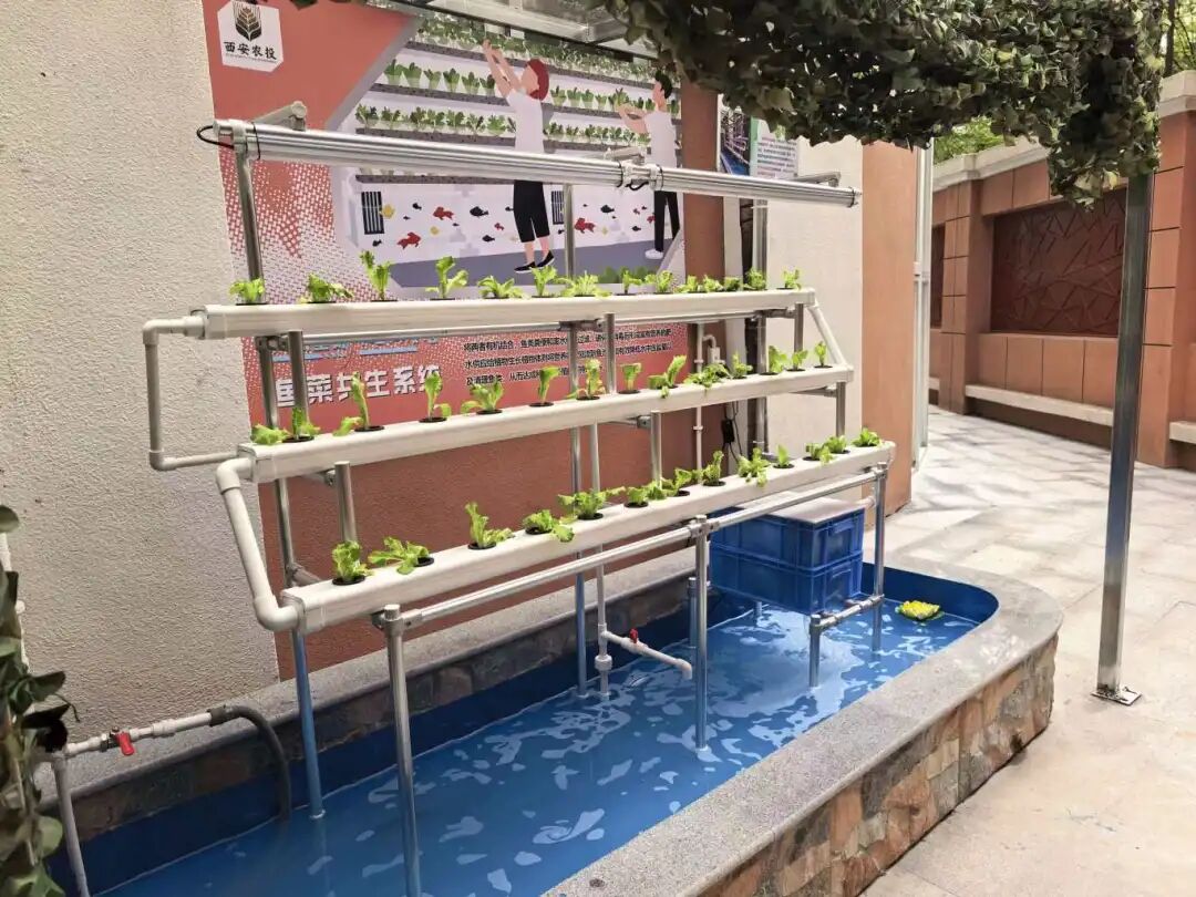 640 - 2025-12-22T110602.863.jpg