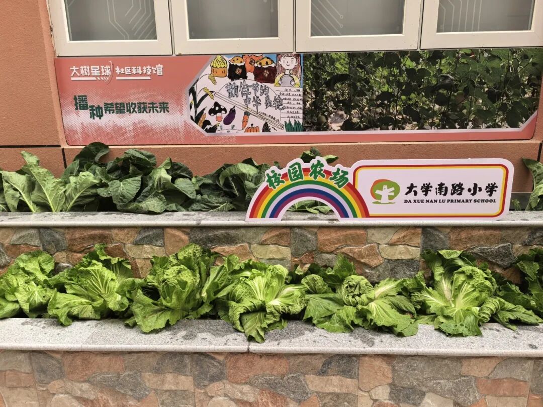 640 - 2025-12-22T110604.697.jpg