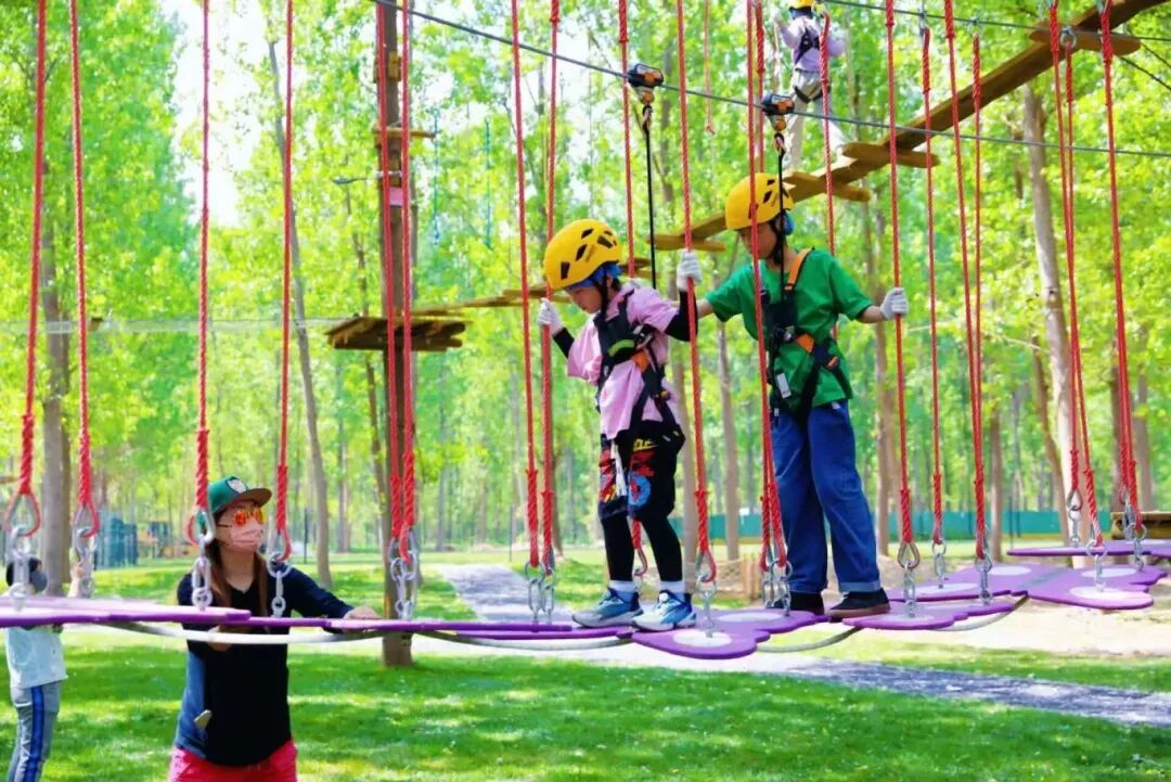 640 - 2026-01-23T093459.512.jpg