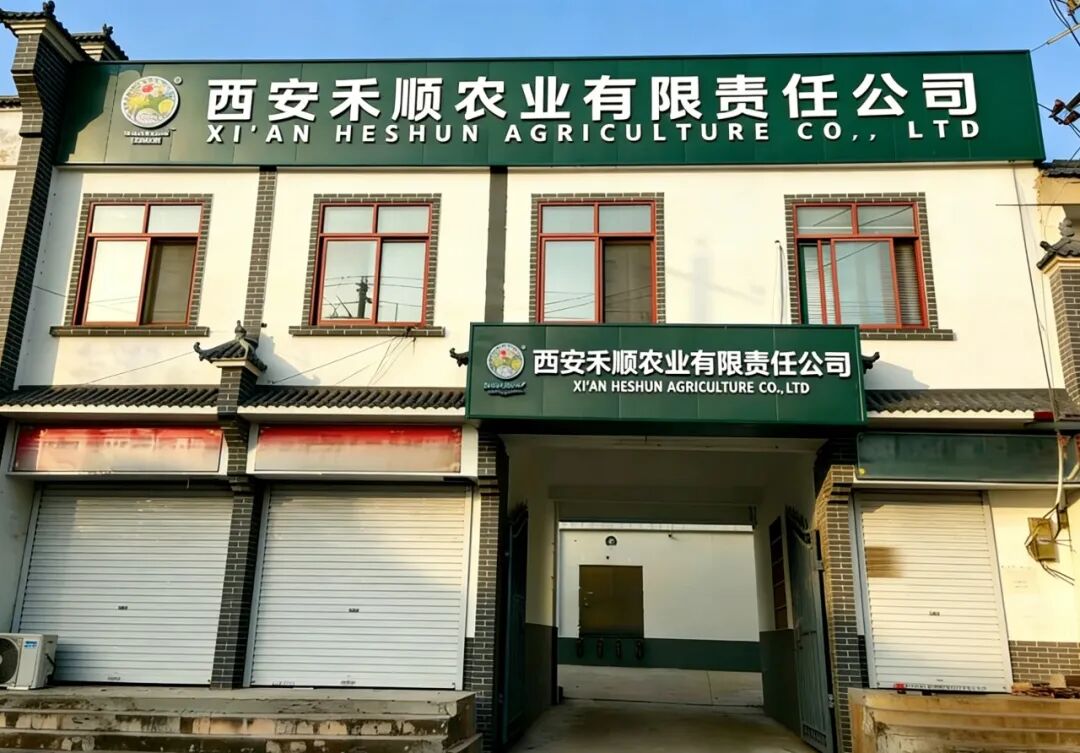 640 - 2026-01-23T094030.693.jpg