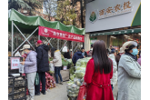 西安农投菜篮子公司持续组织开展“战寒潮、保供应”惠民让利销售活动