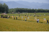 西安农投集团举办“稻花香里说丰年”生态农业摄影展 以光影艺术赋能乡村振兴